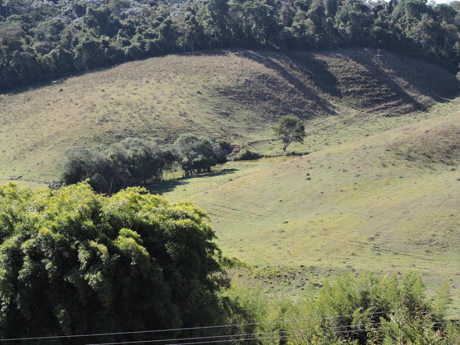 Pousada Vista Verde Cunha Phòng bức ảnh