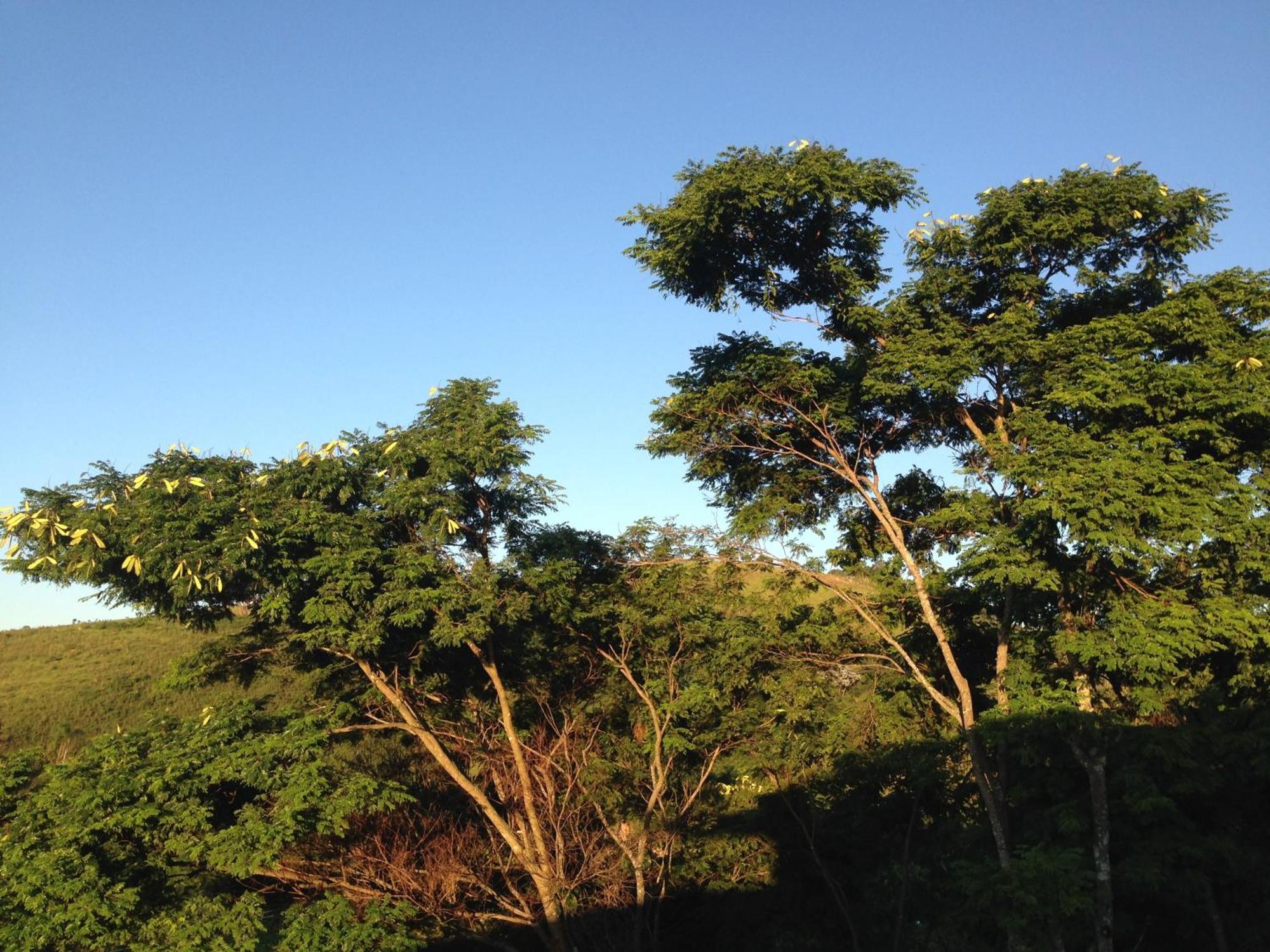 Pousada Vista Verde Cunha Phòng bức ảnh